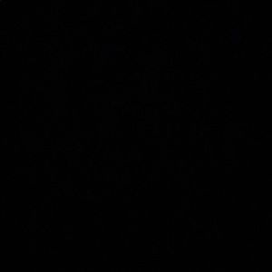 Meet your Posher, Gianna